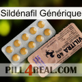 Sildénafil Générique 41
